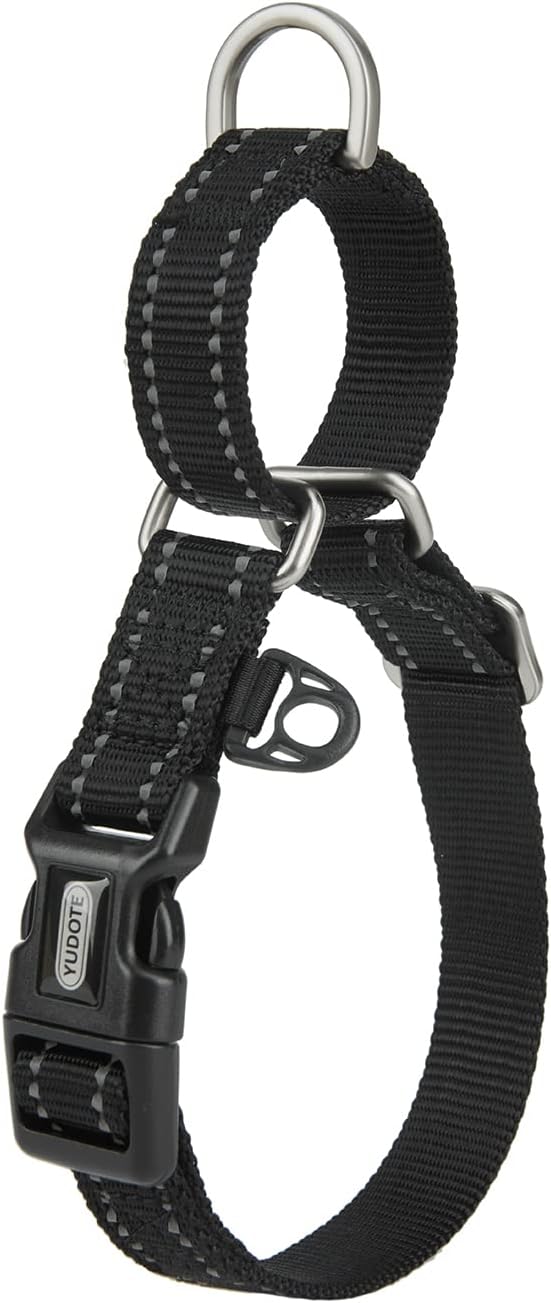 Martingale Collar Reflective Nylon Collar with Safety Quick Release Buckle,Escape-Proof Anti-Pull for Small Medium and Heavy Duty Dogs(Black,M)