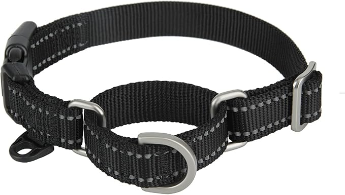 Martingale Collar Reflective Nylon Collar with Safety Quick Release Buckle,Escape-Proof Anti-Pull for Small Medium and Heavy Duty Dogs(Black,XS)