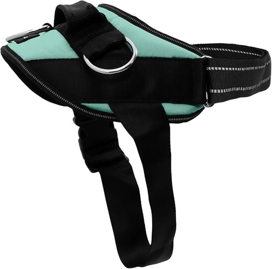 ShawnCo Essential Dog Harness, No-Pull Pet Vest with 3 Leash Clips, No Choke, Reflective, Adjustable and Padded, for Easy Walking and Training for Small, Medium and Large Dogs (Seafoam, S)