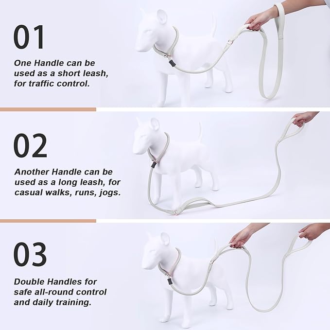 Slip Lead Dog Leash with Double Handle, Soft Leather Nylon Slip Collar, Heavy Duty Dog Rope Lead, No Pull Walking Leash for Medium Large Small Dogs, 6ft White