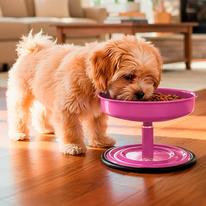 Adjustable Dog Feeder, 18.6 oz – Aluminum Feeding Bowl with Height Adjustment, Promotes Comfortable Feeding Position, Electrostatic Coated Finish, Vida Mansa, (Pink)