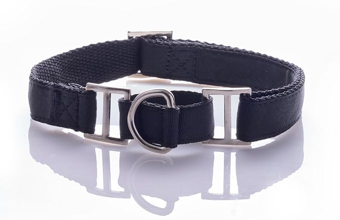 Remy II - The Recycled Ribbon Martingale Adjustable Collar No-Pull Pet Training Collars Dogs, Black, Medium
