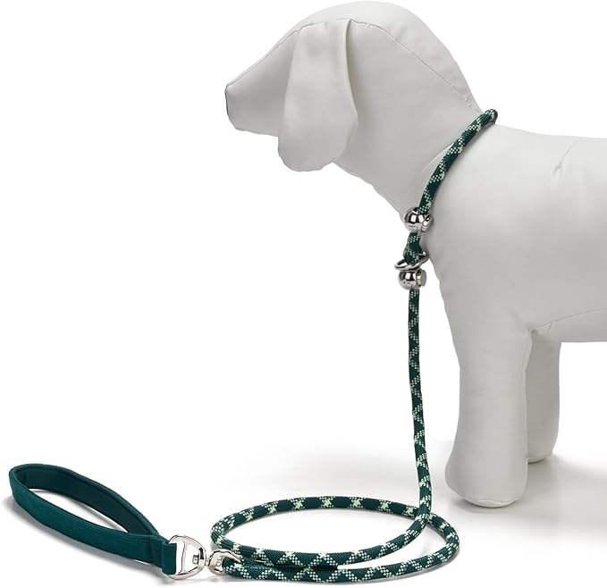 Slip Lead Dog Leash 5 Ft No Pull Reflective Nylon Dog Rope Training Leash with Padded Handle for Puppy Small Medium Dogs(Dark Green)
