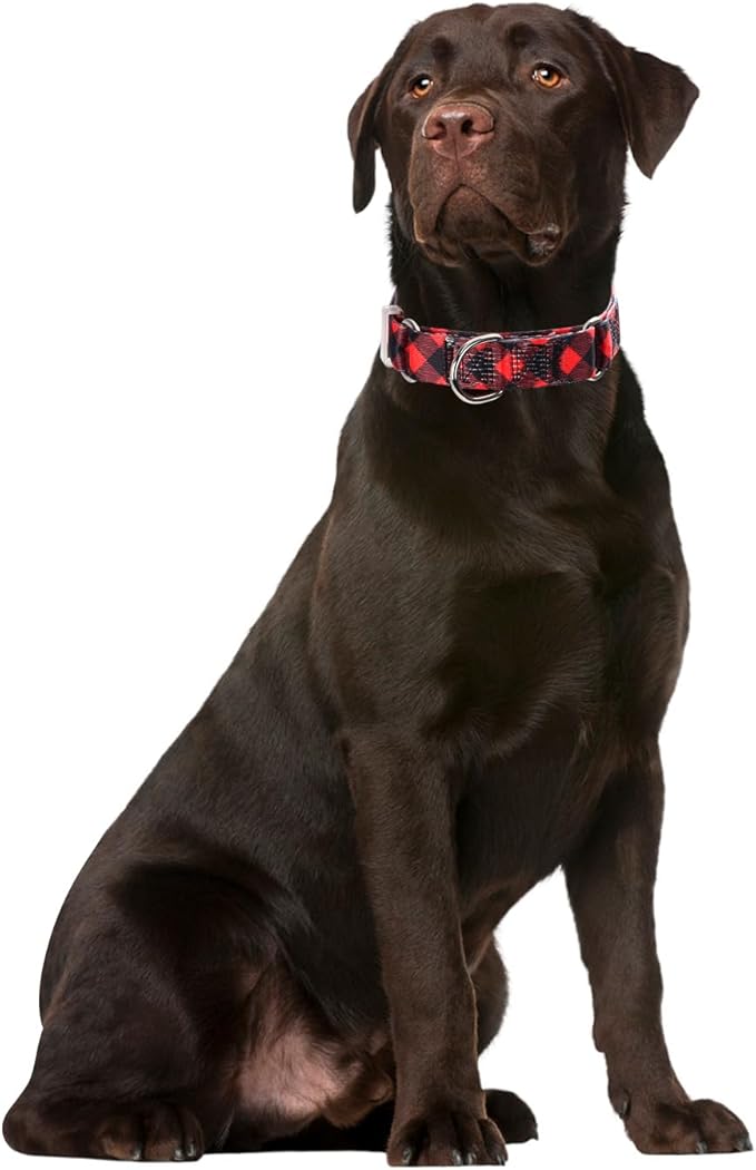 Red Plaid Print Martingale Collar, No-Slip Escape Proof Choke No Pull Soft Nylon Training Dog Collars for Small Medium Large Breed Pet Dogs, M