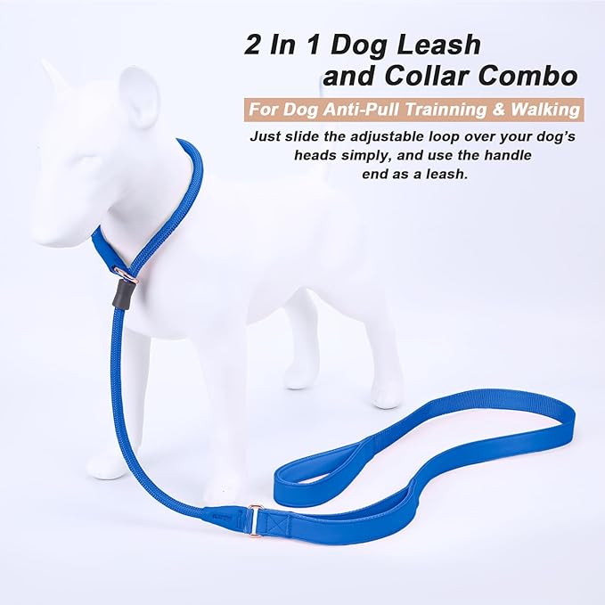Slip Lead Dog Leash, Dog Training Leash with Double Handle, Soft Leather Slip Leash and Collar, Heavy Duty Nylon Dog Lead, No Pull Walking for Medium Large Small Dogs 5ft Dark Blue