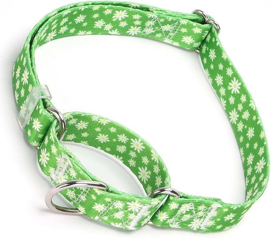 Green Martingale Collars for Dogs, Daisy Print No-Slip Escape Proof Choke No Pull Soft Nylon Training Dog Collars for Small Medium Large Breed Pet Dogs, M