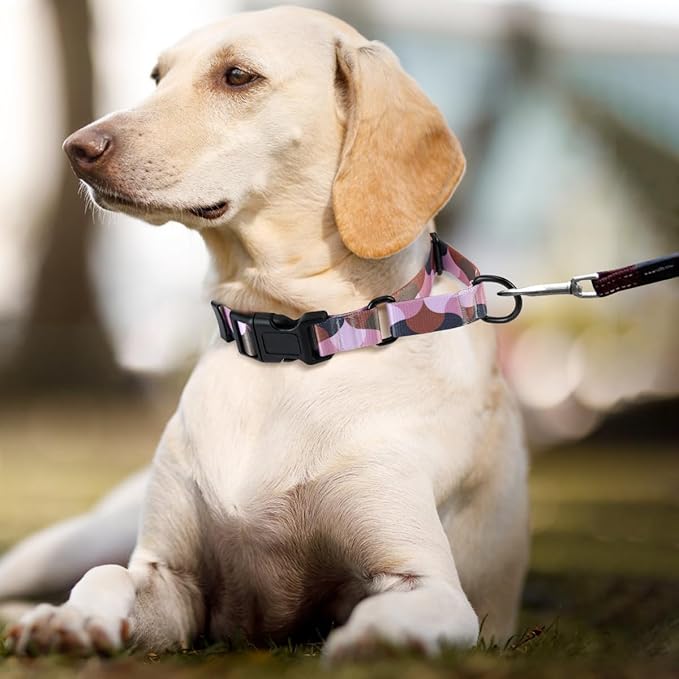 Martingale Dog Collars,Adjustable Soft Nylon Quick Release Buckle,No Pull Training Collar for Large Medium Small Dogs