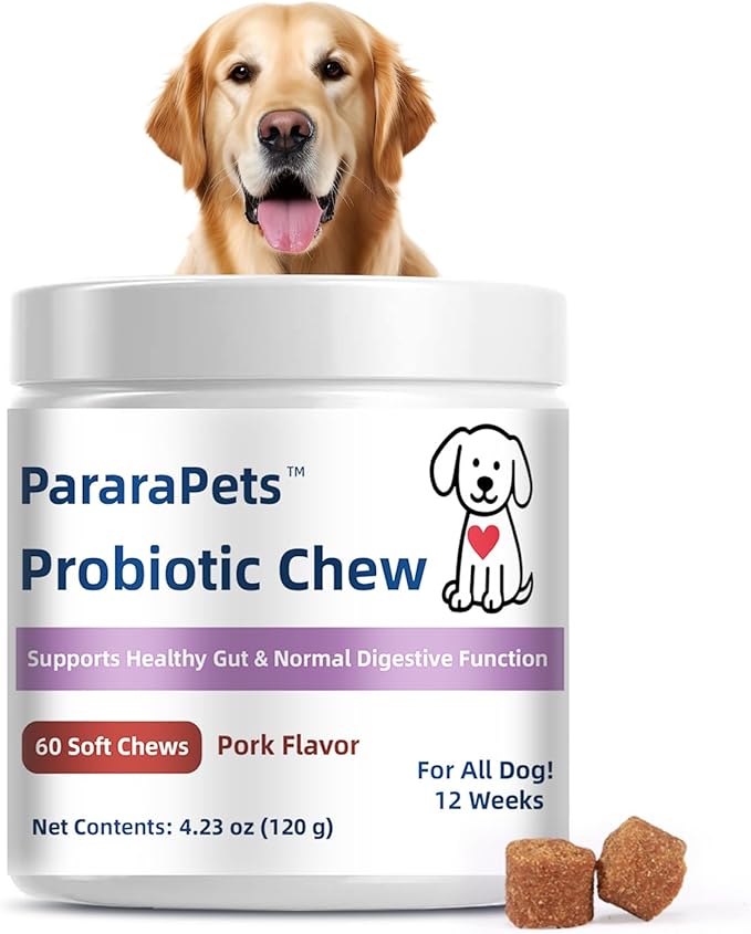 Probiotics for Dogs,Dog Gut Health Probiotics,Gastrointestinal Health Promotes Digestion and Nutrient Absorption, 60 Soft Chews