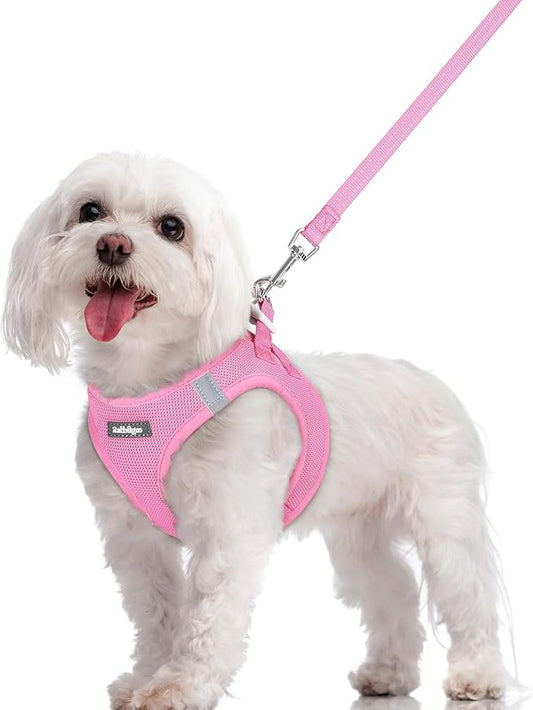 rabbitgoo Dog Harness Small Sized and Leash Set, Step in Soft Light Puppy Vest, Breathable Mesh Pet Harness, Reflective for Safe Easy Walking, Light Pink M