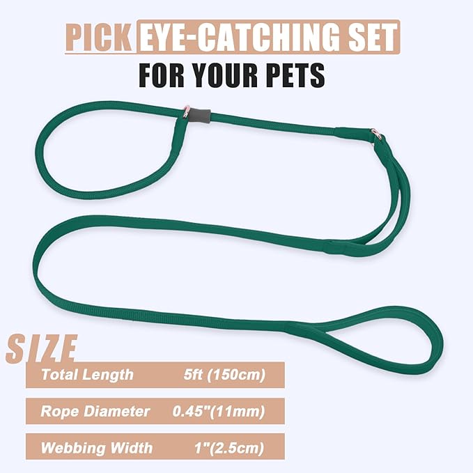 Slip Lead Dog Leash, Dog Training Leash with Double Handle, Soft Leather Slip Leash and Collar, Heavy Duty Nylon Dog Lead, No Pull Walking for Medium Large Small Dogs 5ft Dark Green