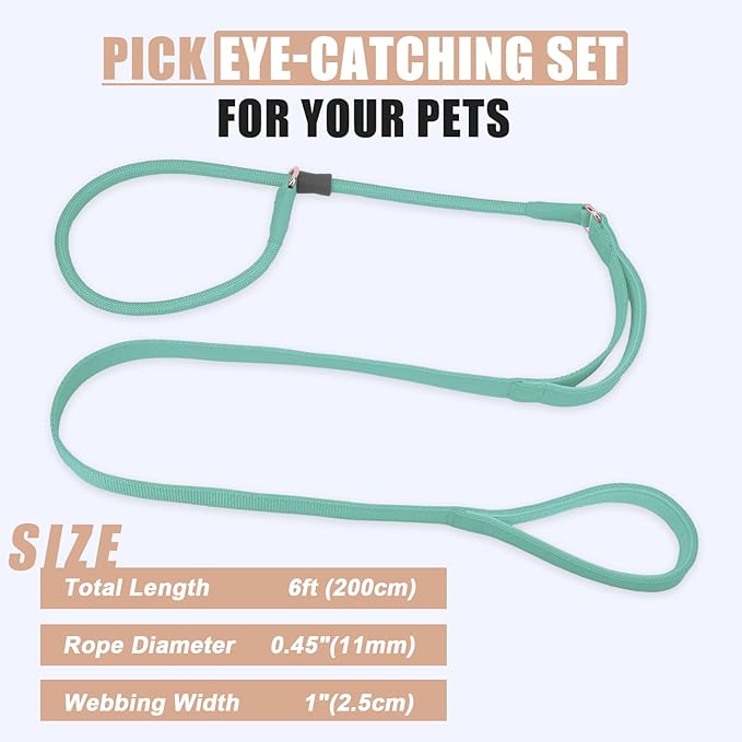 Slip Lead Dog Leash, Dog Training Leash with Double Handle, Soft Leather Slip Leash and Collar, Heavy Duty Nylon Dog Lead, No Pull Walking for Medium Large Small Dogs 6ft Mint Green