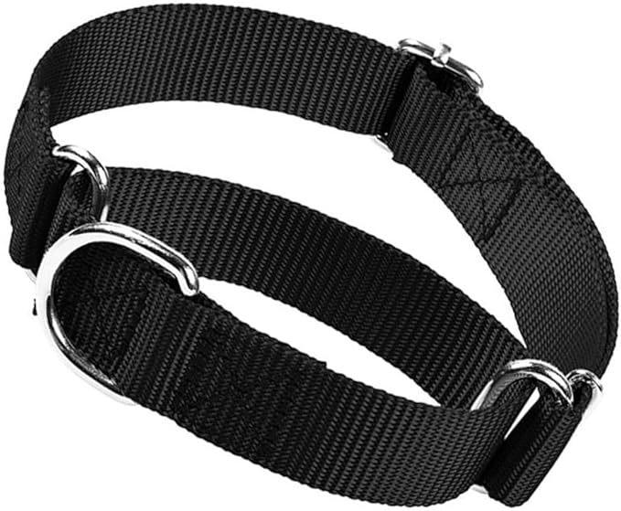 Martingale Collar for Dogs, No Pull Choke Collar for Dogs Heavy Duty No Slip Training Dog Choker Collar for for Small Medium Large Dogs (Black, M)