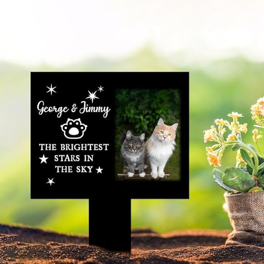 Personalized Cat Memorial Stake Custom Cat Photo The Brightest Stars in The Sky Metal 12x12 inch Pet Grave Marker Cat Loss Gift Sympathy Gift for Cat Lover (Style 5)