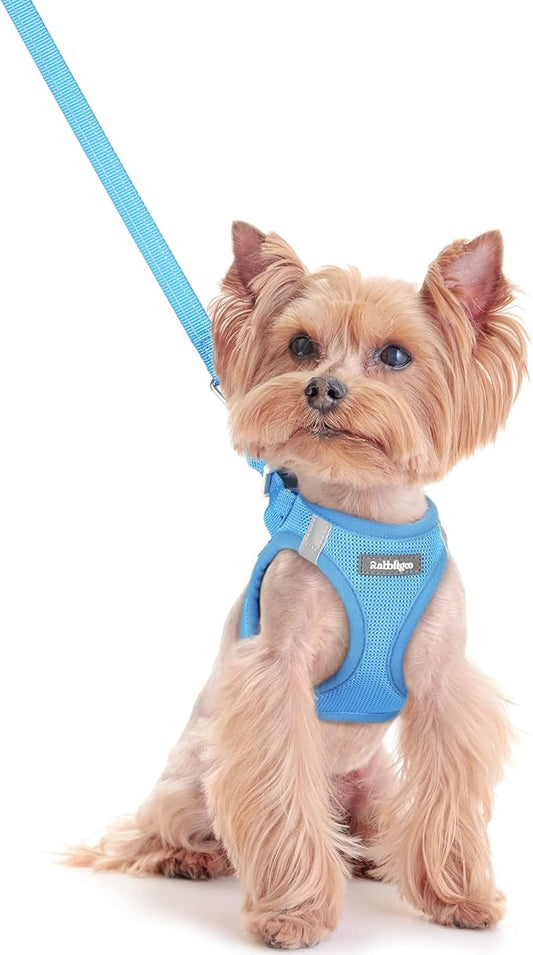 rabbitgoo Dog Harness Small Sized and Leash Set, Step in Soft Light Puppy Vest, Breathable Mesh Pet Harness, Reflective for Safe Easy Walking, Blue XXS