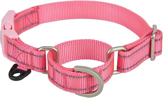 Martingale Collar Reflective Nylon Collar with Safety Quick Release Buckle,Escape-Proof Anti-Pull for Small Medium and Heavy Duty Dogs(Hotpink,L)
