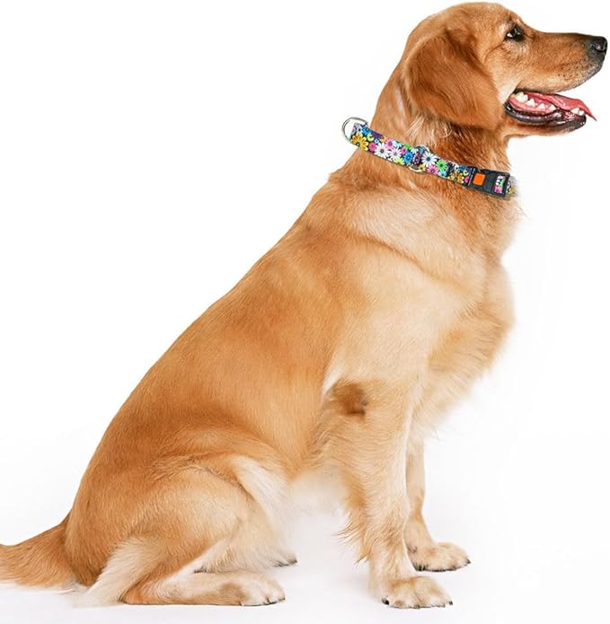 Martingale Dog Collar with Buckle, No Slip Escape Proof Limited Choke Pinch Pet Collars Quick Release Snap with Lock for Small Medium Large Breed Dogs, Colorful Floral L