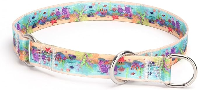 Training Dog Collar - No Pull Martingale, Slip With Slidable Stop Ring for Small, Medium, Large Dogs (L, Ocean)