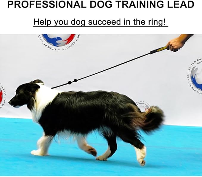BeauGo|Slip Lead Dog Leash|Dog Training Lead,Trainer Rope Specifically Designed for DogTraining and NGKC Competition,2-in-Dog Lead & Collar,Trainer Rope for Small Medium Large Dogs.Slip Leash 4.6 FT