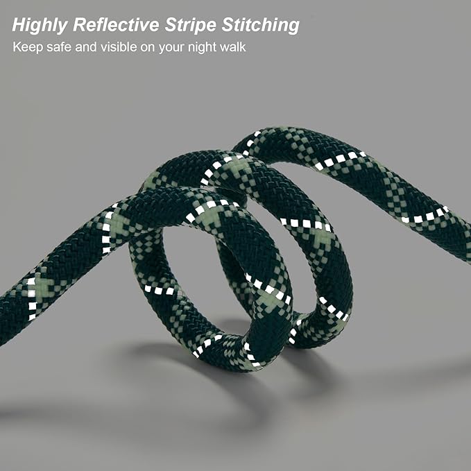 Slip Lead Dog Leash 5 Ft No Pull Reflective Nylon Dog Rope Training Leash with Padded Handle for Puppy Small Medium Dogs(Dark Green)
