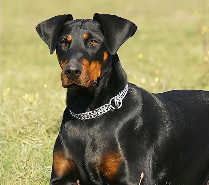 Silver Choker Collar for Dogs, Training Double Row Chain Collars Metal Slip Choke Martingale Collars for Small Medium Large Dog, D2.5mm