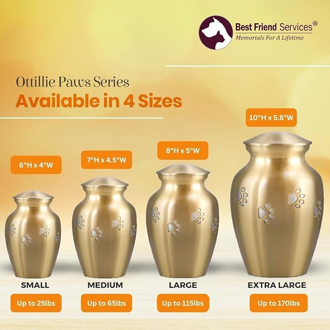 Ottillie Paws Legacy Series Pet Urn for Dogs, Handmade Brass Memorial Cremation Urn (Large - Pets up to 115 lbs, Brass, Horizontal Pewter Paws)