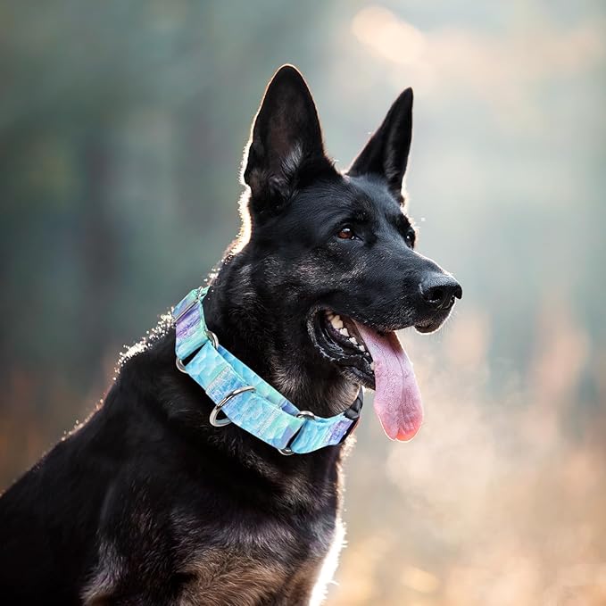 Martingale Collar for Dogs, Blue No Escape Training Dog Collar for Large Dogs, Adjustable Safety Buckle Dog Collar, Perfect Boy and Girl Collar for Training, Walking, Hunting (L)