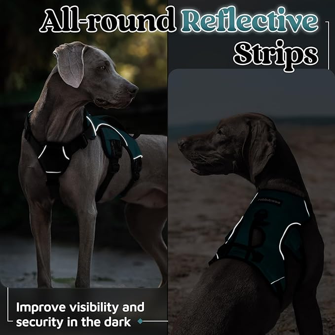 rabbitgoo Escape Proof Dog Harness Medium, Soft Padded Full Body Pet Harness, Reflective Adjustable No Pull Vest with Lift Handle and Leash Clip for Walking Hiking Training, Dark Green, M