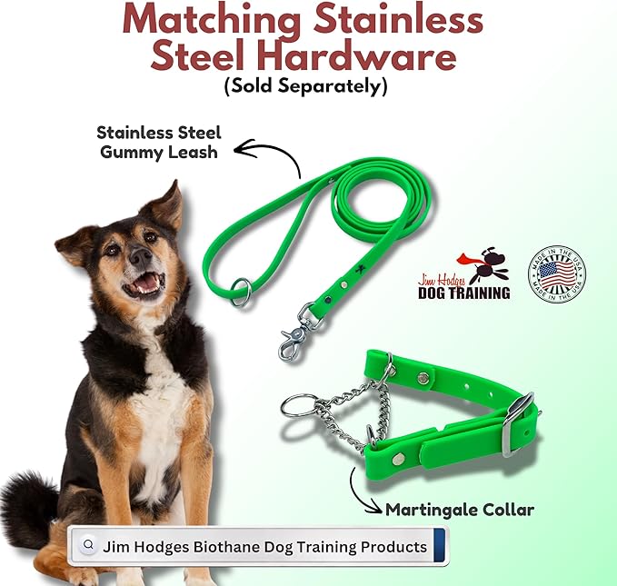 Martingale Collar for Dogs, Biothane, Stainless Steel Hardware, No Pull, Made in The USA, Professional Grade, Medium, Green