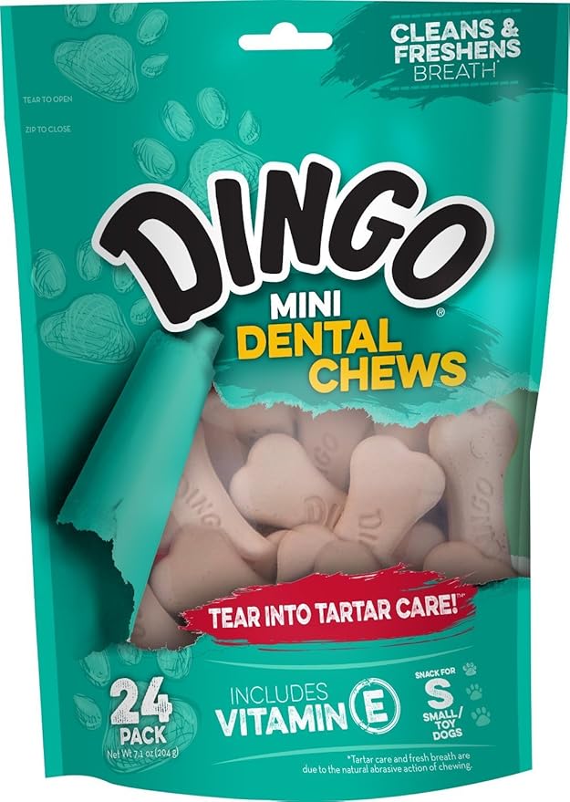 Dingo P-28006 576 Count Mini Dental-Treats, One Size