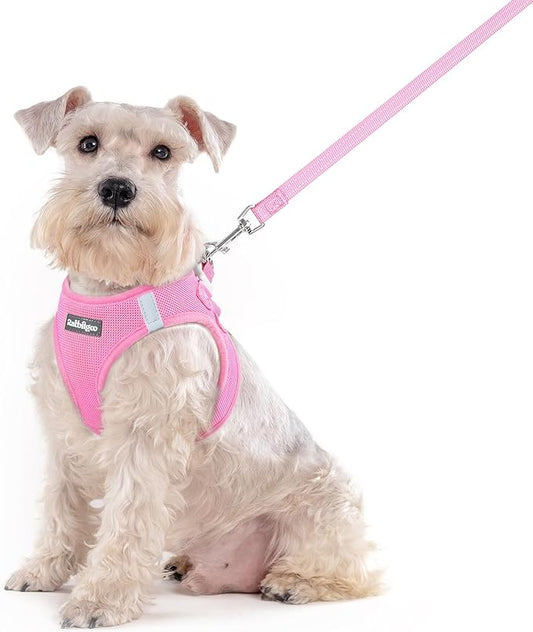 rabbitgoo Dog Harness Medium Sized and Leash Set, Step in Soft Light Puppy Vest, Breathable Mesh Pet Harness, Reflective for Safe Easy Walking, Light Pink XXL