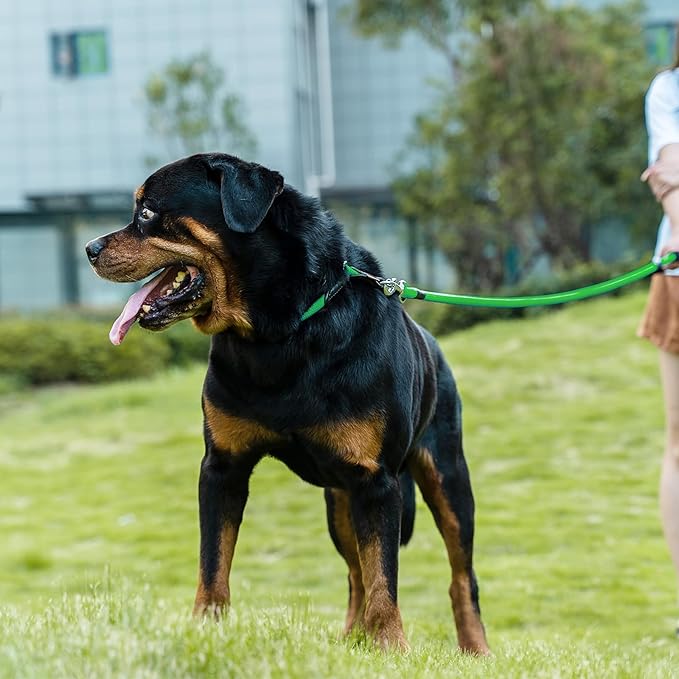Dog Leash, Braided Rope Traction – Walking Training Lead for Medium/Large Dogs ((1/2") x 2FT, Light Green)