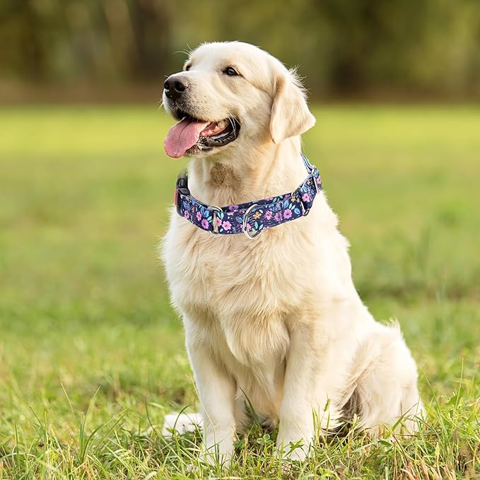 Martingale Collar for Small Dogs, Heavy Duty Training Collars with Bull Flower Design, Adjustable No Slip Collar with Safety Buckle for Girl or Boy, Perfect for Training, Walking, Hunting (S)