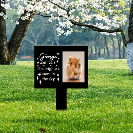 Personalized Hamster Memorial Stake Custom Hamster Photo The Brightest Stars in The Sky Metal 8x8 inch Pet Grave Marker Hamster Loss Gift Sympathy Gift for Hamster Lover (Style 11)