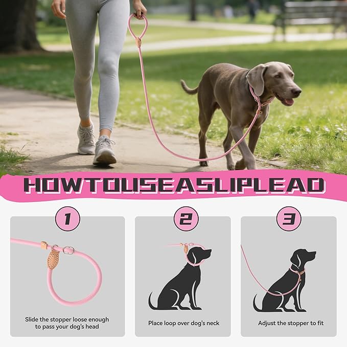Mile High Life Slip Lead Dog Leash - 4FT, 5FT, 6FT Heavy Duty Rope Leash for No Pull Training, Durable Braided Dog Lead with Leather Stopper & Tip for Medium Large Dogs