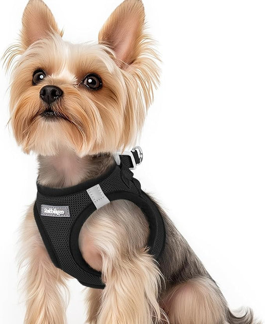 rabbitgoo Small Dog Harness, Step-in Soft Mesh Puppy Vest with Safety Buckle, Breathable Reflective Pet Harness for Small Sized Dogs, Black XS
