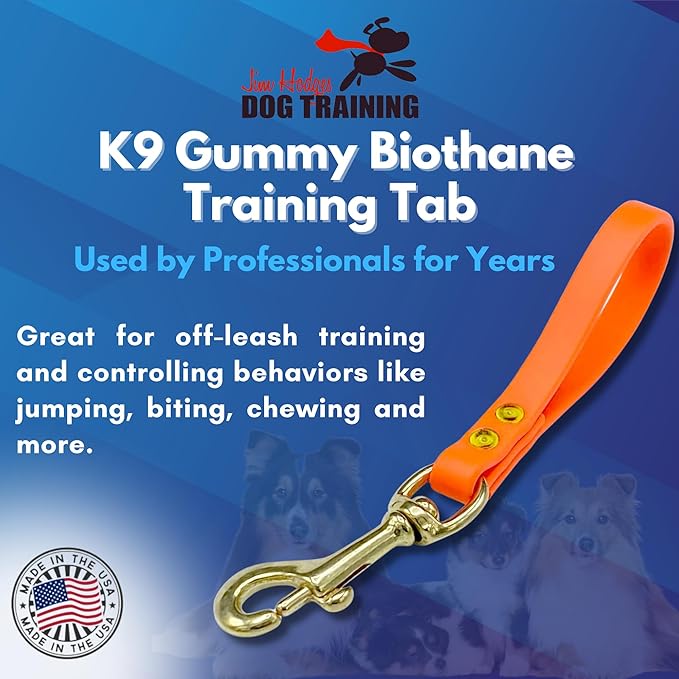 Biothane Training Tab Leash for Dogs, Brass Hardware, No Pull with Easy Grip Handle, Made in The USA, Professional Grade-Orange