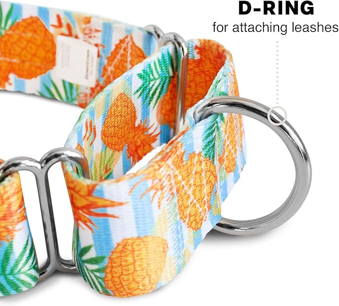Downtown Pet Supply - Martingale Collar for Dogs - Dog Training Collar - Big, Wide & Thick Dog Collar - Escape-Proof, Weatherproof, Durable and Comfortable - Pineapple - Large Dog Collar