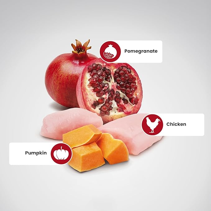 Farmina N&D Dog Dry Grain Free Pumpkin Mini Chicken & Pomegranate 15.4 Pounds