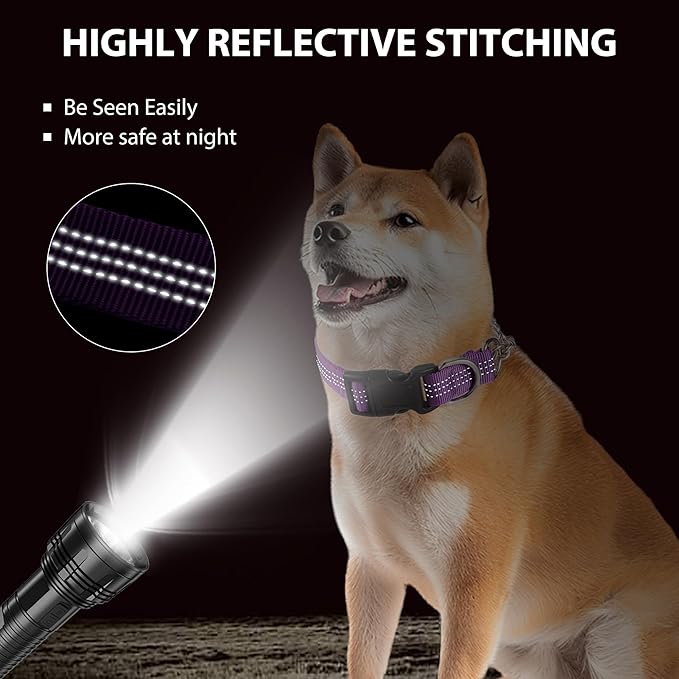 Martingale Dog Collar with Quick Release Buckle Steel Chain No Pull Training Reflective Collar for Medium Large Dogs(Purple, Large)