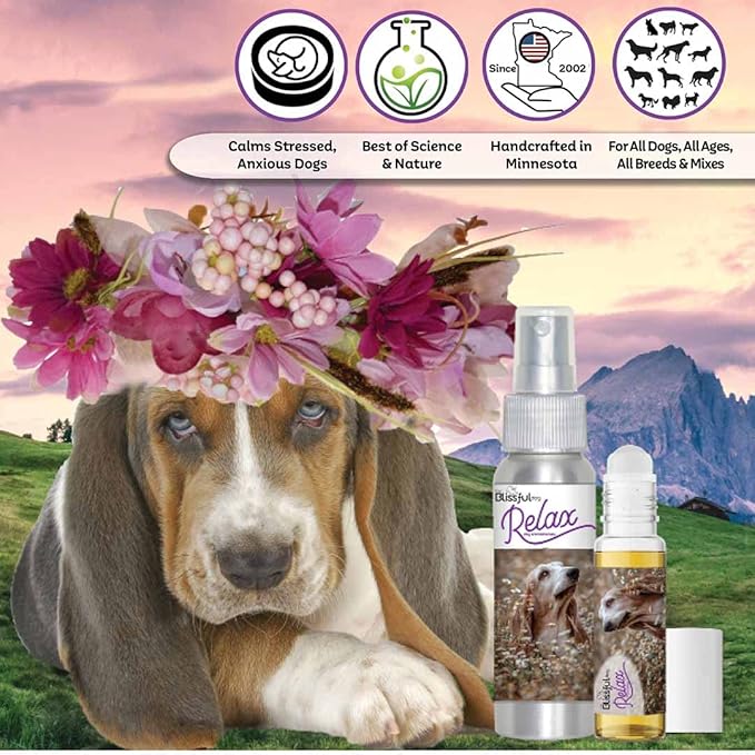 The Blissful Dog Basset Hound Relax Dog Aromatherapy Spray for Your Dog's Anxiety