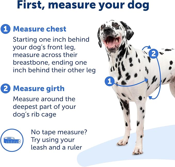 PetSafe Easy Walk No-Pull Dog Harness - The Ultimate Harness to Help Stop Pulling - Take Control & Teach Better Leash Manners - Helps Prevent Pets Pulling on Walks, Medium/Large, Royal Blue/Navy Blue