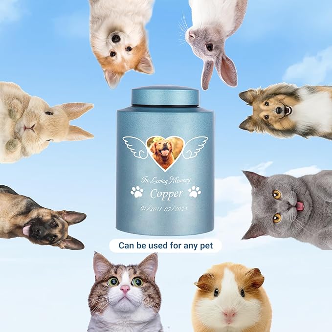 Custom Urns for Dogs and Cats Ashes Personalized Pet Urn with Name and Photo Pet Cremation Memorial Urn for Loss of Dog or Cats Engraved Pet Funeral Urns (Wings)