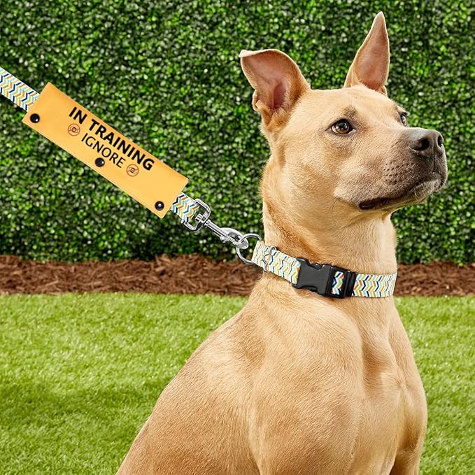 PWHAOO in Training Ignore Dog Leash Sleeve Dot Not Pet Working Merch Sleeve Service Dog Leash Wrap (in Training Ignore Sleeve)