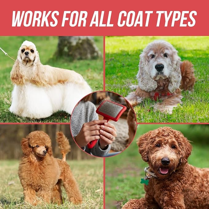 Mbala Curved Slicker Brush for Dogs – Professional Dog Brush for Shedding & Grooming, 30% More Pins, Ideal for Goldendoodles, Poodles & Long-Haired Dogs, Detangling & Deshedding, Large Coral