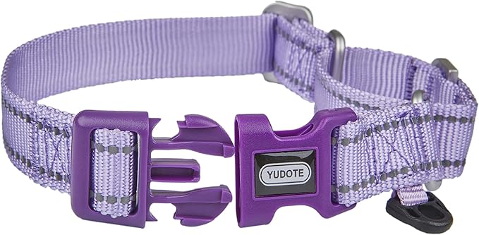 Martingale Collar Reflective Nylon Collar with Safety Quick Release Buckle,Escape-Proof Anti-Pull for Small Medium and Heavy Duty Dogs(Lilac,L)