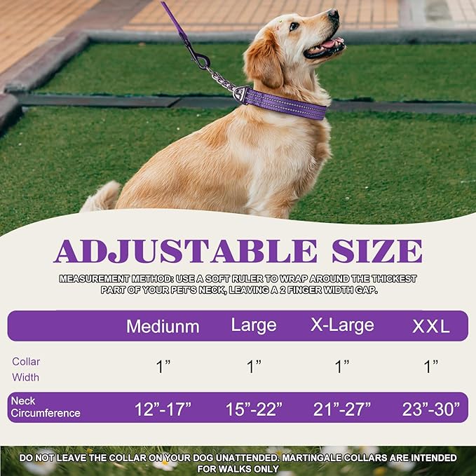 Martingale Collar for Dog -No Pull Dog Collar with Reflective Nylon, Adjustable Choke Chain Collar with Soft Padded Training/Walking Collar for Large/Medium Dogs (Blue M)