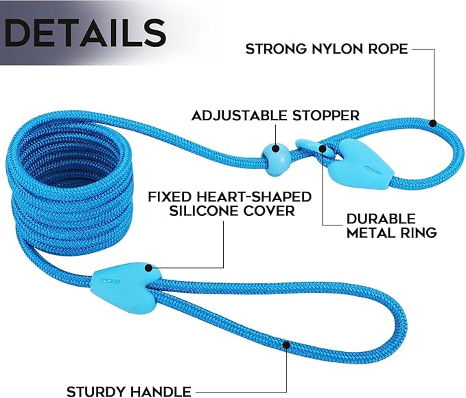Slip Leads for Dogs Puppy Leash Comfortable 5FT Heavy Duty Loop Leash No Pull Pet Training Leash 6 Colors Classic Dog Leash for Small Medium Dogs(Black)