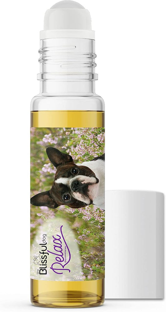 The Blissful Dog Boston Terrier Dog Relax Roll-ON Aromatherapy for Dogs - Anxiety Relief for Dogs