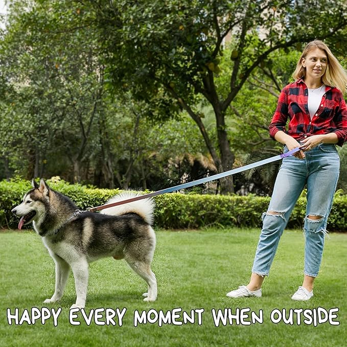 Roses&Poetry Blue Dog Collar and Leash for Medium Dogs, Reflective Dog Collars and Leashes, Buckle Adjustable Durable Pet Matching Leash with Collar for Girl and Boy Running, Walk（Azure-M