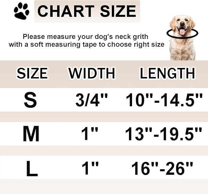 Reflective Martingale Collar for Dogs Nylon Training Collar with No Buckle, No Pull Boy Male Dog Collar for Small Dogs（Green Shark，S）